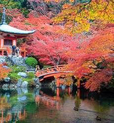 Colonie de vacances itinérantes japon